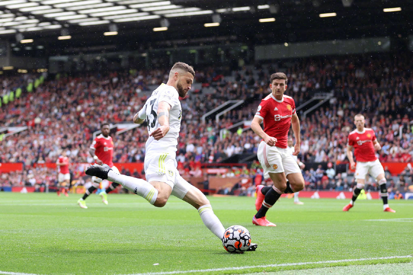 璞归真的趋 璞归真的趋